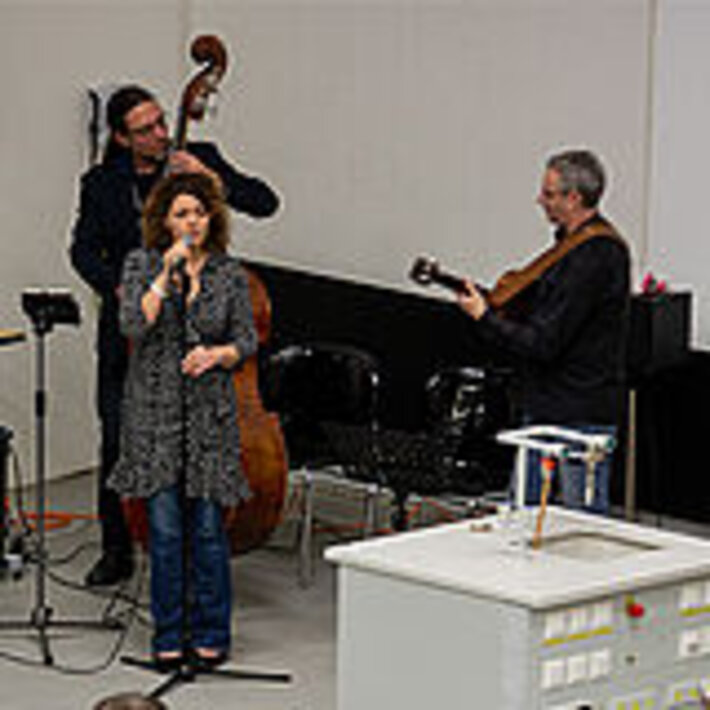 (öffnet Vergrößerung des Bildes)