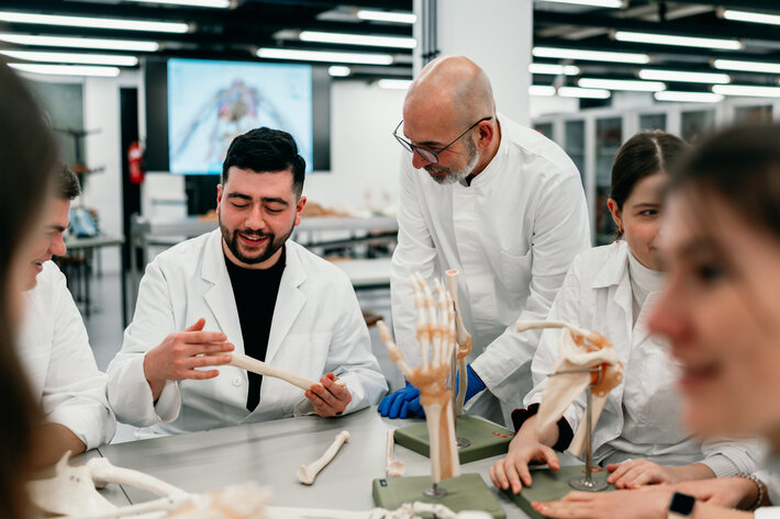 Ein Professor im Gespräch mit einem Studierenden, der anatomische Modelle betrachtet. (öffnet Vergrößerung des Bildes)