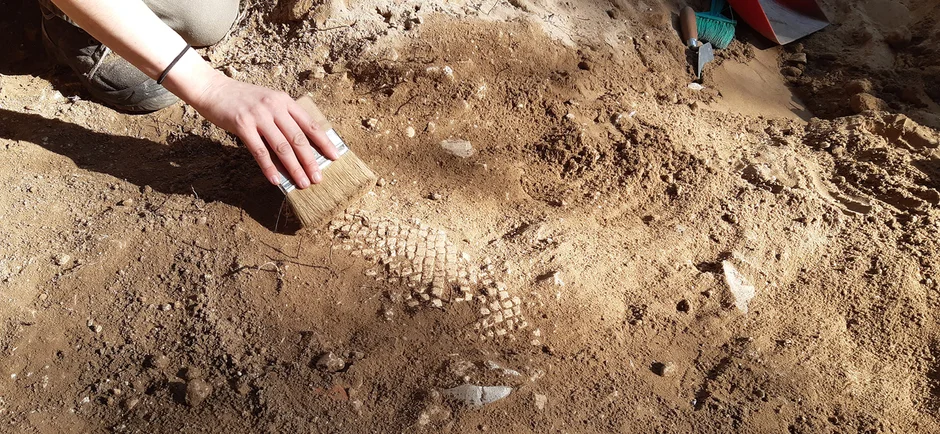 Eine Hand streicht mit einem breiten Pinsel über mosaikartige Strukturen in der Erde, die stellenweise freigelegt und teilweise noch mit trockener Erde bedeckt sind.