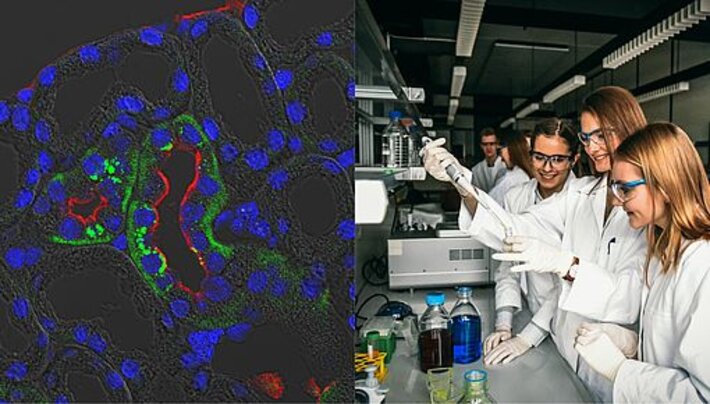 (öffnet Vergrößerung des Bildes)