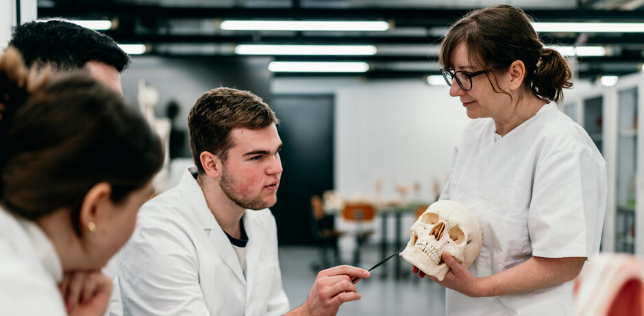Studierende im weißen Kittel besprechen mit ihrer Dozentin den Aufbau eines menschliichen Schädels anhand eines Modells
