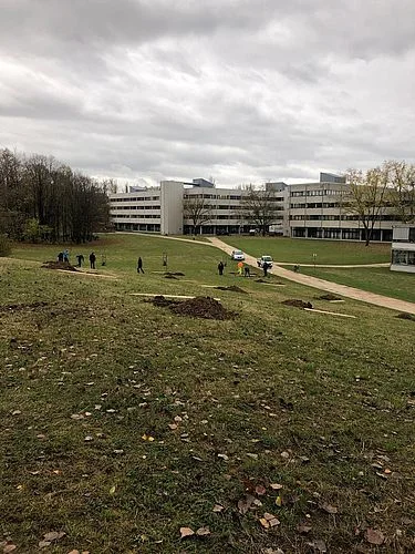Ausgrabungen der Löcher zur Bepflanzung der Streuobstwiese auf dem Campus.