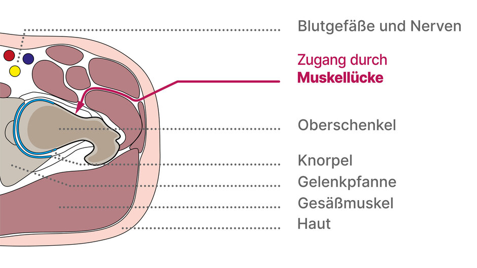 (öffnet Vergrößerung des Bildes)