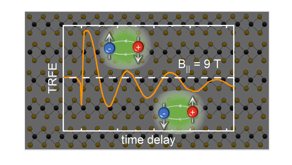 Die Grafik zeigt eine Darstellung eines physikalischen Experiments. Im Hintergrund ist ein Gittermuster mit abwechselnd schwarzen und gelben Punkten zu sehen. Zwei grün hervorgehobene Bereiche enthalten jeweils ein blaues Symbol mit negativem Vorzeichen (–) und ein rotes Symbol mit positivem Vorzeichen (+), verbunden durch Pfeile, die auf eine Wechselwirkung hinweisen. Innerhalb eines weißen Rahmens ist eine orangefarbene Wellenform dargestellt, die den TRFE-Signalverlauf in Abhängigkeit von der Zeitverzögerung zeigt. (öffnet Vergrößerung des Bildes)