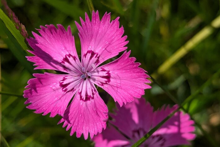 (öffnet Vergrößerung des Bildes)