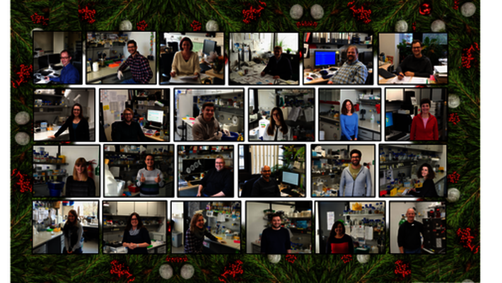 (öffnet Vergrößerung des Bildes)