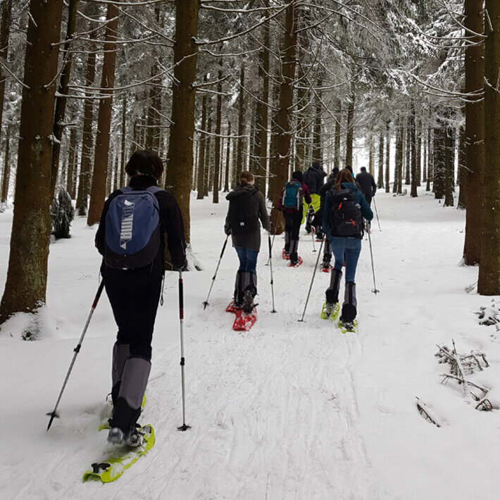 (öffnet Vergrößerung des Bildes)