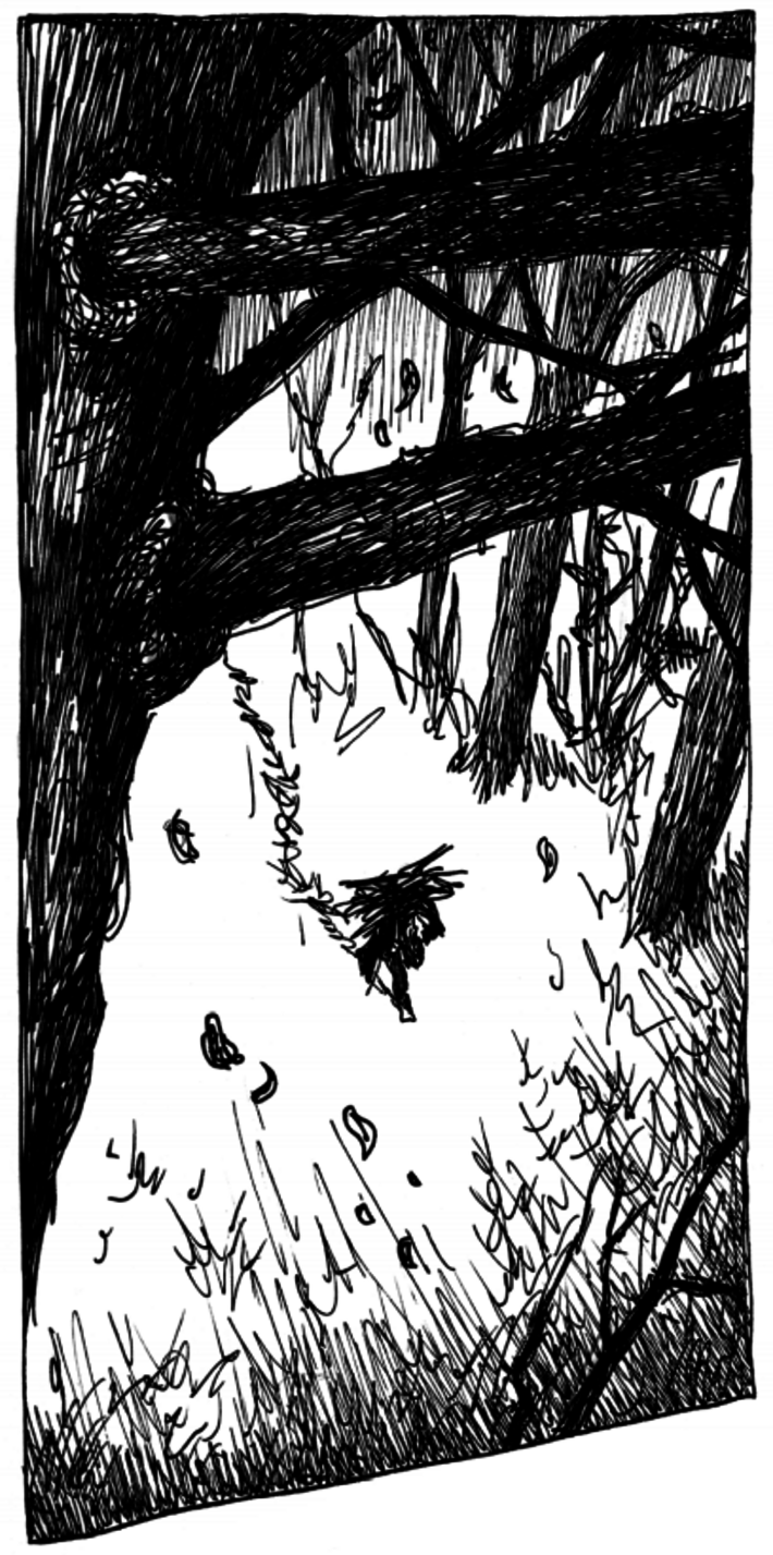 Caliban trägt eine Last Holz durch den Wald (öffnet Vergrößerung des Bildes)