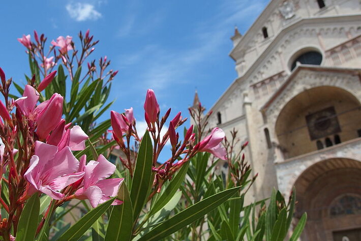 (öffnet Vergrößerung des Bildes)