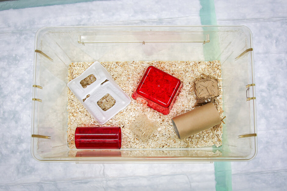 Enrichment im Käfig