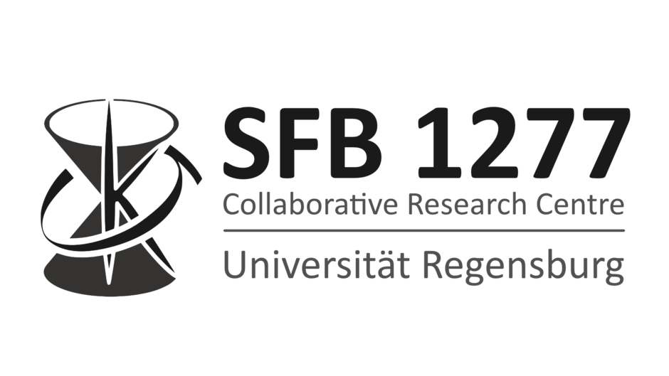 (external link, opens in a new window)