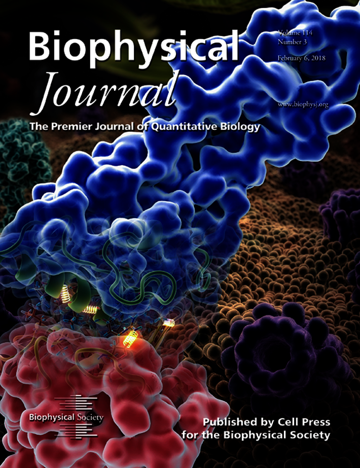 (öffnet Vergrößerung des Bildes)