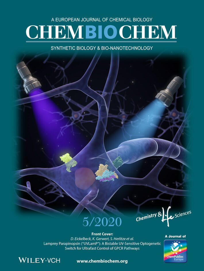 (öffnet Vergrößerung des Bildes)