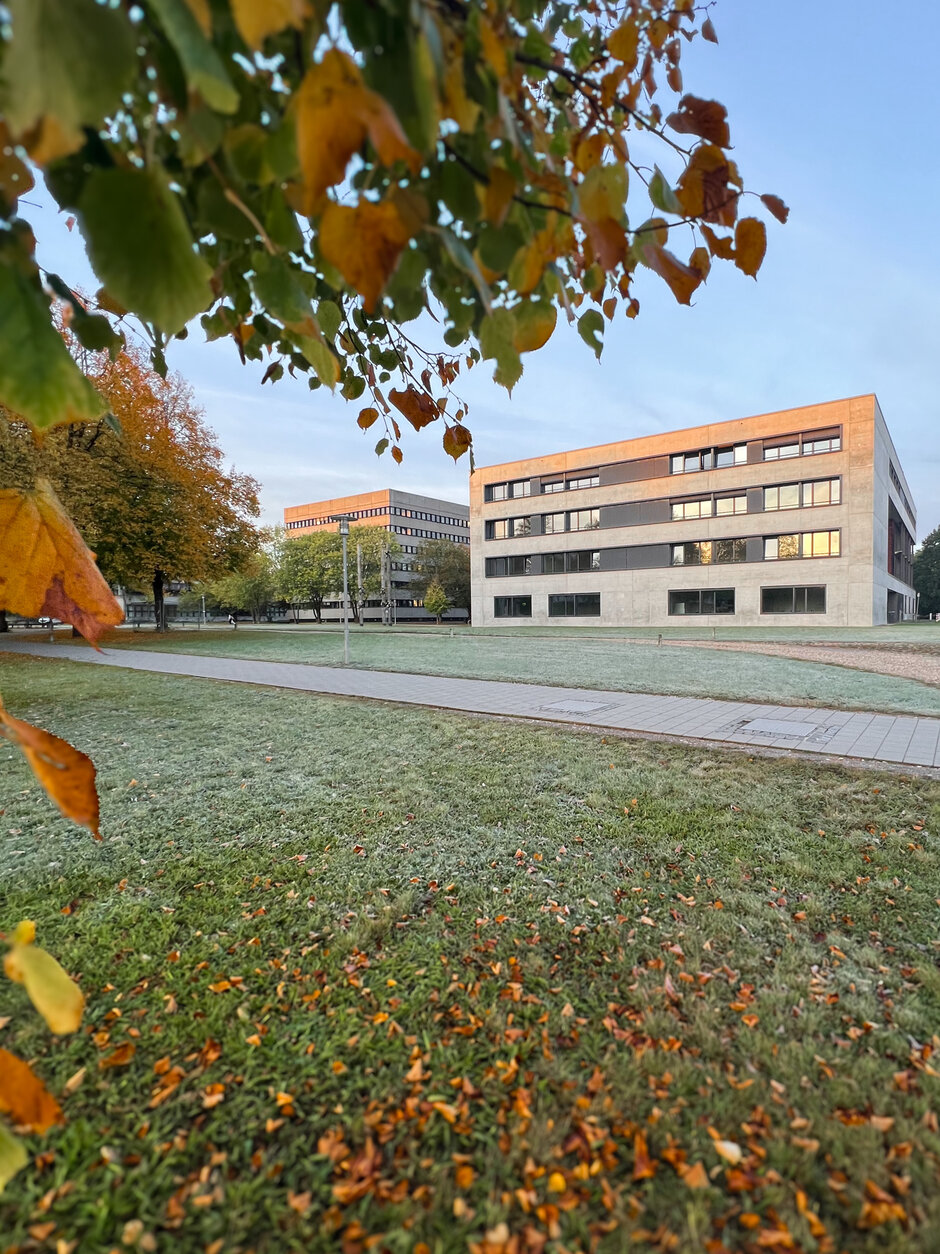 Zwei Hörsaalgebäude im Morgenlicht, umgeben von herbstlich gefärbten Bäumen. 