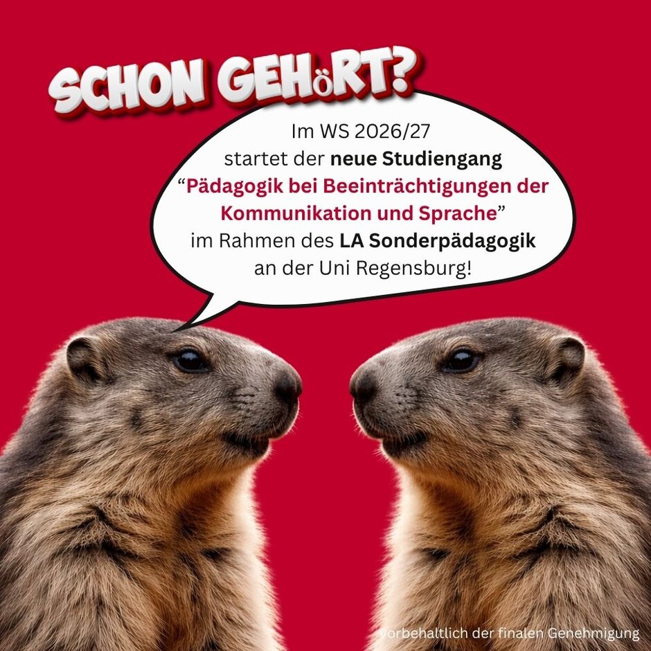 AB WS 2026/27 startet der neue Studiengang "Pädagogik bei Kommunikations- und Sprachbeeinträchtigungen" an der Uni Regensburg. Sprachheilpädagogik studieren.