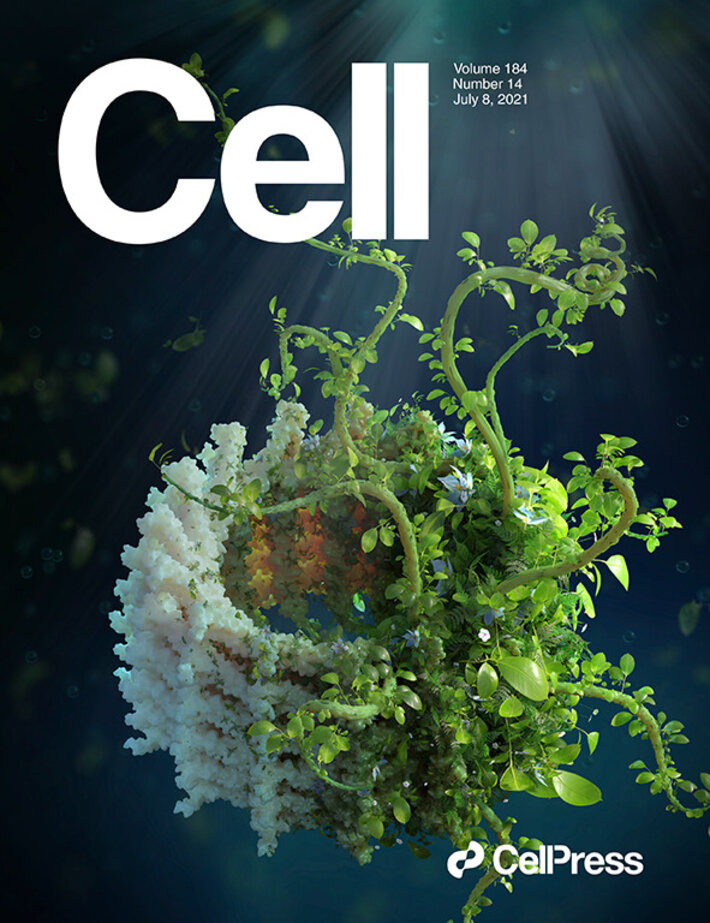 (öffnet Vergrößerung des Bildes)