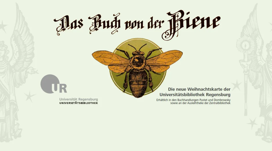 Weihnachtskarte 2022, Infoscreen (öffnet Vergrößerung des Bildes)