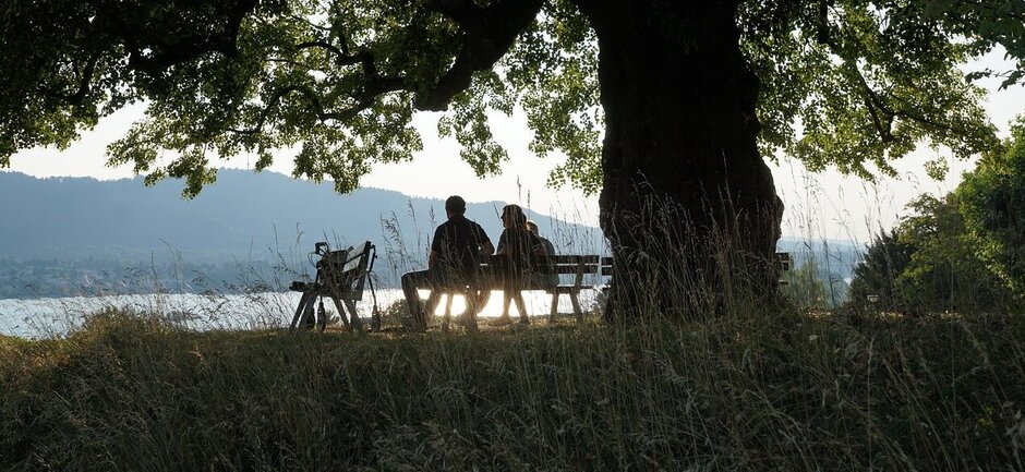 Drei Menschen sitzen auf einer Bank unter einem großen Baum und genießen die Aussicht mit Abendsonne