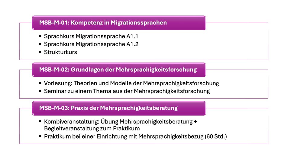 Überblick über die drei Module der Zusatzausbildung MehrsprachigkeitsberatungMSB-M-01: Kompetenz in Migrationssprachen- Strukturkurs- 2 Sprachkurse in einer MigrationsspracheMSB-M-02: Grundlagen der Mehrsprachigkeitsforschung- Vorlesung: Theorien und Modelle der Mehrsprachigkeitsforschung - Seminar zu einem Thema aus der MehrsprachigkeitsforschungMSB-M-03: Praxis der Mehrsprachigkeitsberatung- Kombiveranstaltung: Übung Mehrsprachigkeitsberatung + praktikumsbegleitendes Seminar - Praktikum mit Mehrsprachigkeitsberzug (60 Stunden)