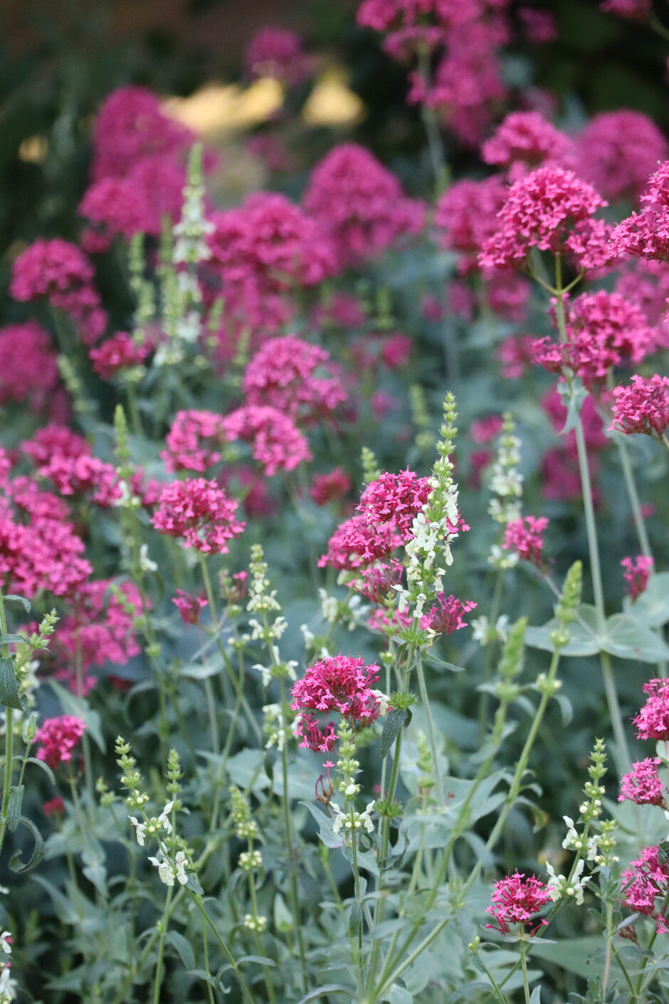 (öffnet Vergrößerung des Bildes)