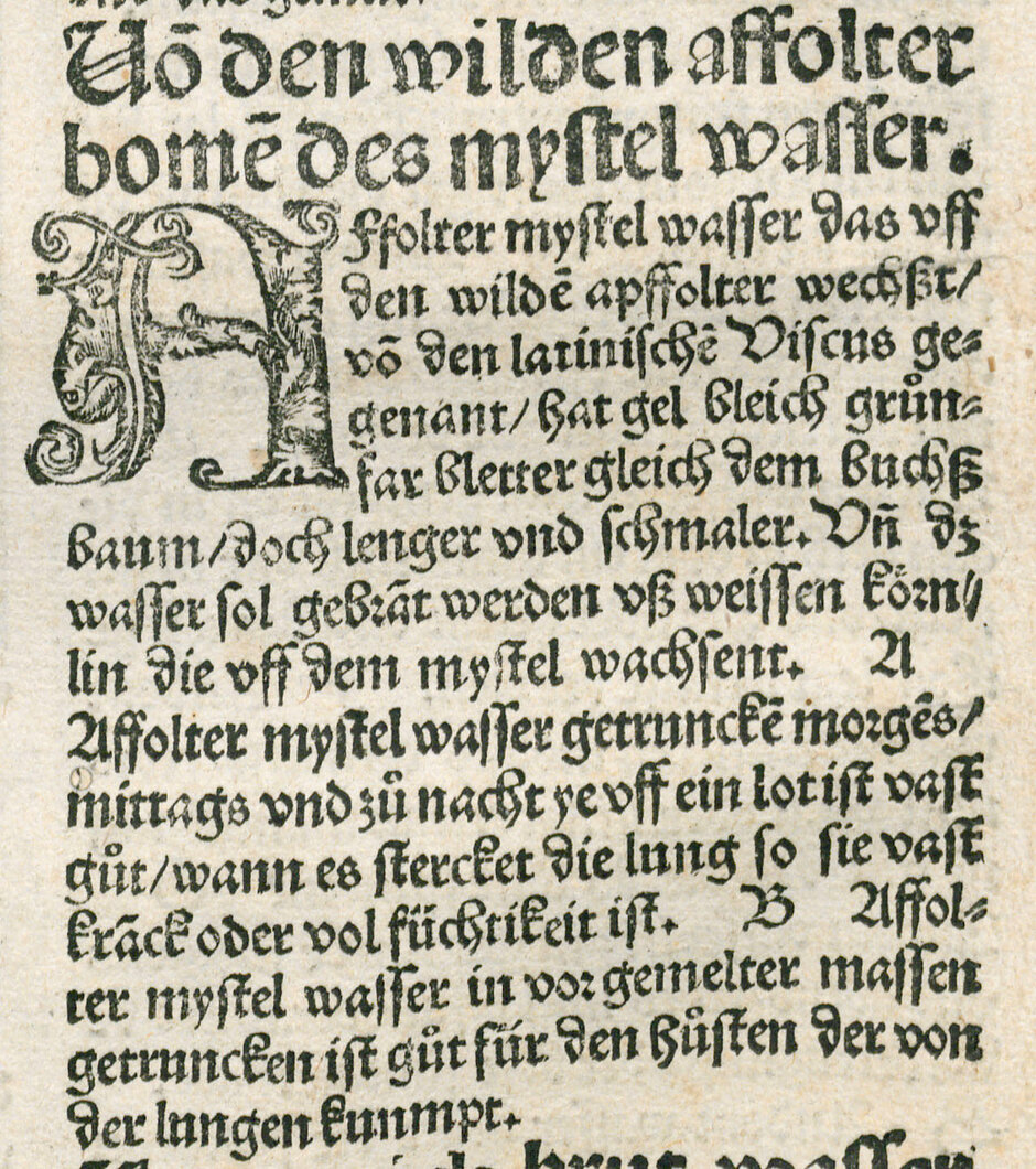 Brunschwig begnügt sich mit einer Anleitung für einen Mistelwasserauszug ohne Abbildung. Brunschwig, Hieronymus: Liber de arte distulandi Simplicia et Composita. Das nüv buch der rechten kunst zu distillieren. Ouch von Marsilio Ficino und anderen hochberömpten Ertzte natürliche und gute künst, zu behalten den gesunden leib und zu vertreiben die kranckheiten mit erlengerung des lebens (öffnet Vergrößerung des Bildes)