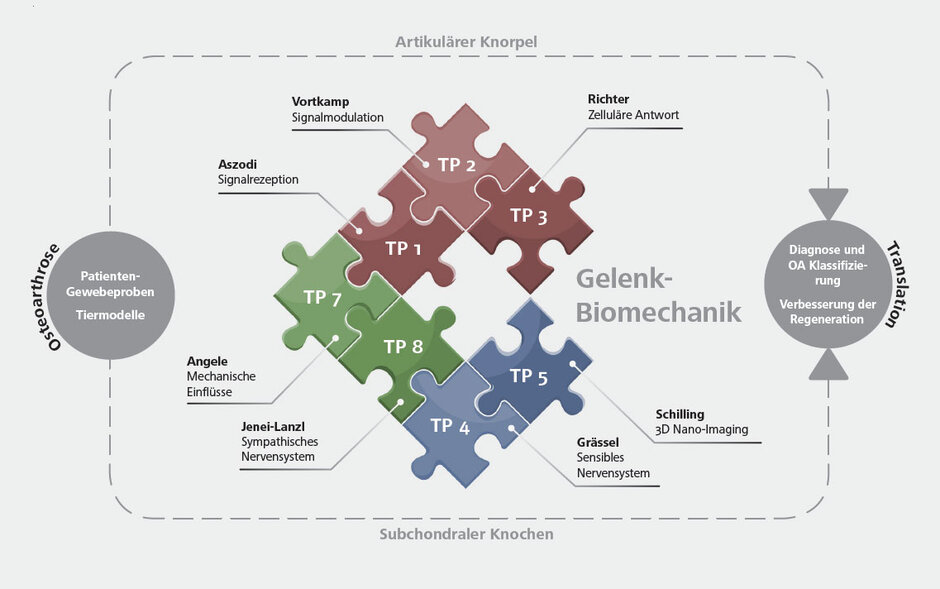 Konsortiumsstruktur