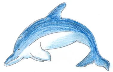 Delfin