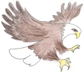 Adler