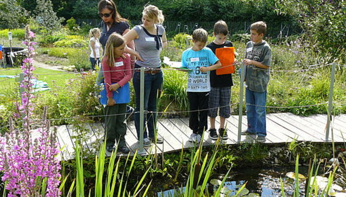 (öffnet Vergrößerung des Bildes)