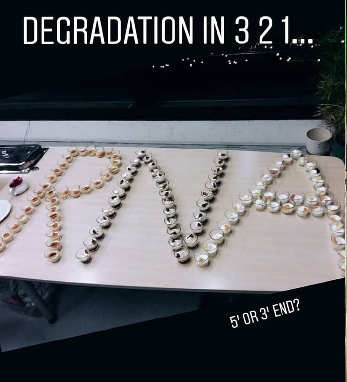 (öffnet Vergrößerung des Bildes)