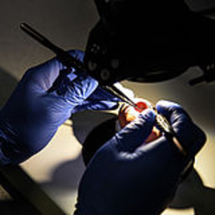 (öffnet Vergrößerung des Bildes)