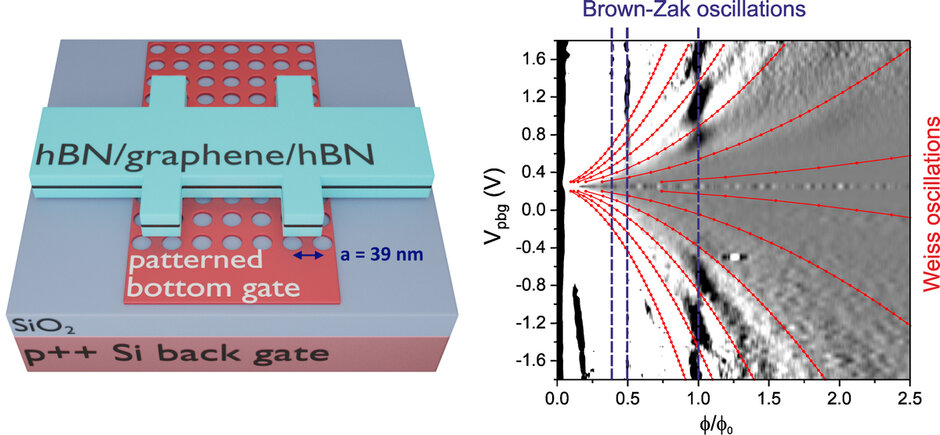 Zweiteiliges Bild mit einem schematischen Diagramm links und einem wissenschaftlichen Graphen rechts. (öffnet Vergrößerung des Bildes)