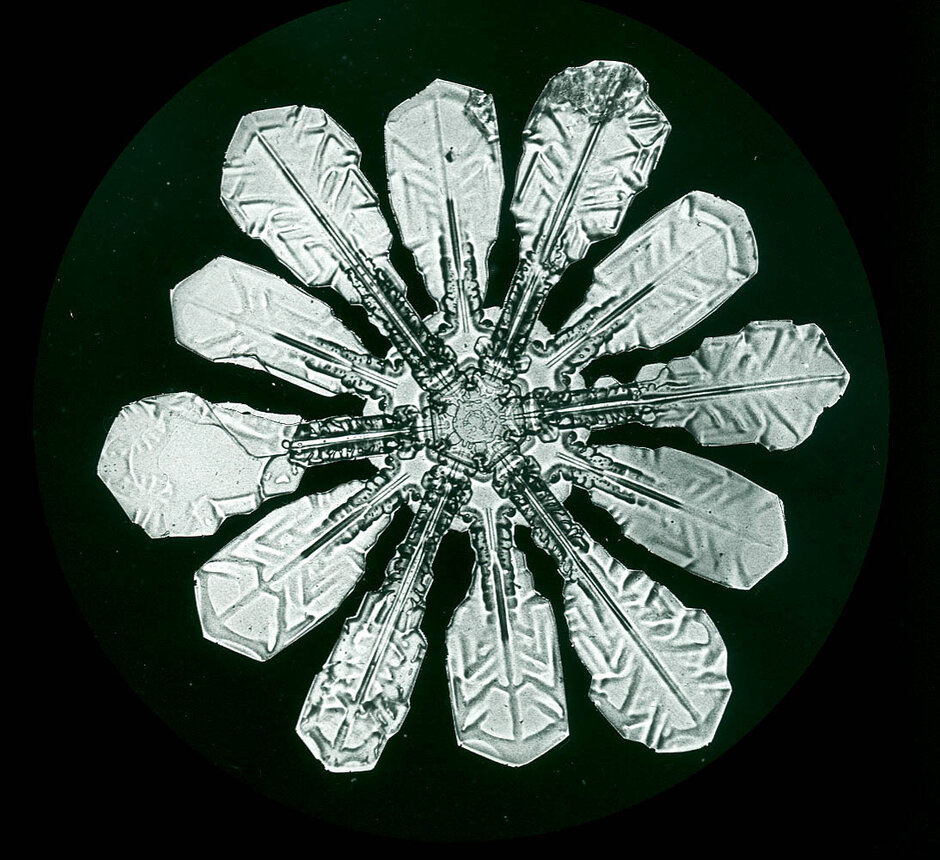 Zwölfarmiger Schneestern (Aufnahme: Wilson Bentley.) (öffnet Vergrößerung des Bildes)