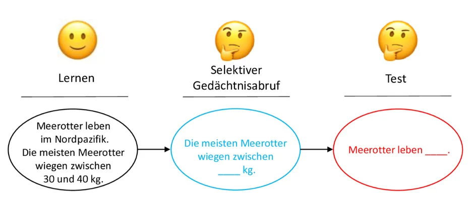 Die Grafik zeigt ein Beispiel für einen Lern- und Abrufprozess anhand von drei Textfeldern:      Lernen: „Meerotter leben im Nordpazifik. Die meisten Meerotter wiegen zwischen 30 und 40 kg.“     Selektiver Gedächtnisabruf: „Die meisten Meerotter wiegen zwischen ____ kg.“ – Hier fehlt ein Teil der Information, was auf einen gezielten Abruf hinweist.     Test: „Meerotter leben ____.“ – Auch hier ist ein Teil der Information ausgelassen, um die Erinnerung zu testen.  Die Darstellung veranschaulicht, wie selektiver Abruf bestimmter Informationen das Erinnern anderer Inhalte beeinflussen kann. (öffnet Vergrößerung des Bildes)