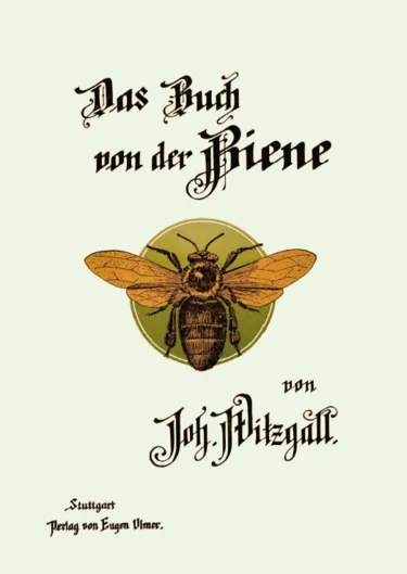 Illustration einer Biene (öffnet Vergrößerung des Bildes)