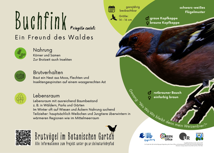 (öffnet Vergrößerung des Bildes)