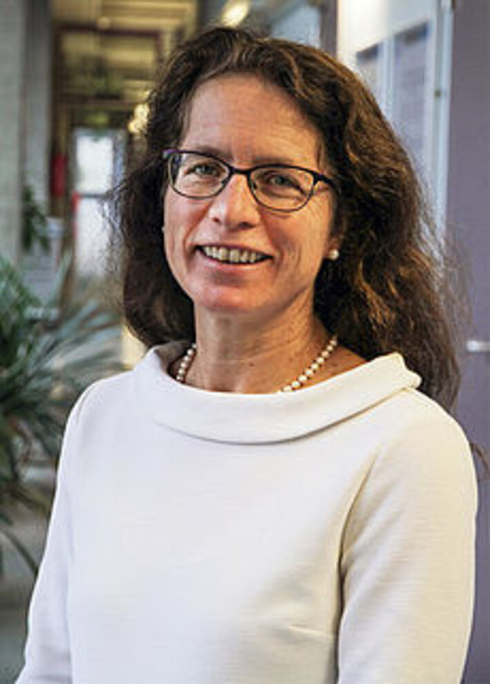 (öffnet Vergrößerung des Bildes)