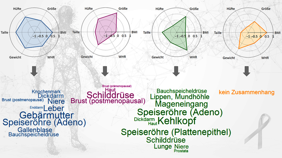 Die Grafik zeigt neu abgeleitete Körperformen aus den sechs anthropometrischen Merkmalen Größe, Gewicht, Body-Mass-Index (BMI), Taillenumfang, Hüftumfang und Taille-Hüft-Verhältnis (WHR) und ihr Zusammenhang mit Krebserkrankungen in verschiedenen Organen. (öffnet Vergrößerung des Bildes)