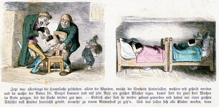 (öffnet Vergrößerung des Bildes)