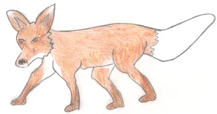 Fuchs