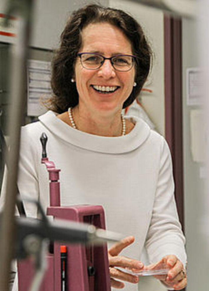 (öffnet Vergrößerung des Bildes)