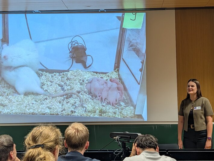 (öffnet Vergrößerung des Bildes)