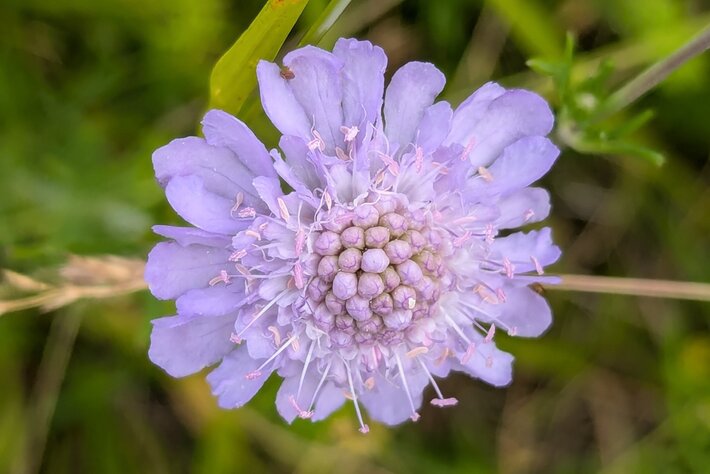 (opens enlarged image)