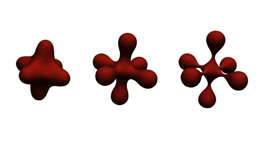 Mathematical Model of a Growing Tumor