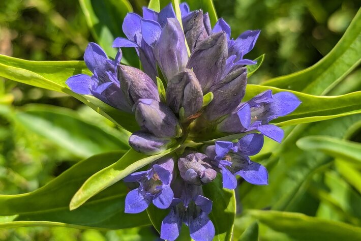 (öffnet Vergrößerung des Bildes)