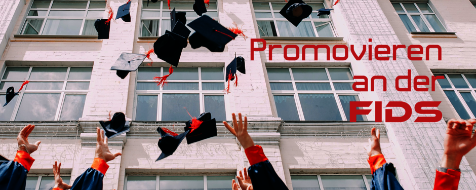 Promovieren an der FIDS