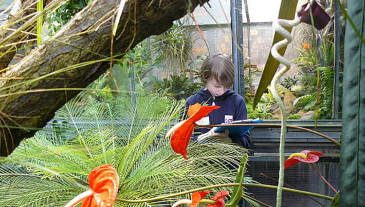 (öffnet Vergrößerung des Bildes)