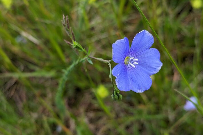 (opens enlarged image)