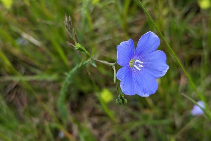 (öffnet Vergrößerung des Bildes)