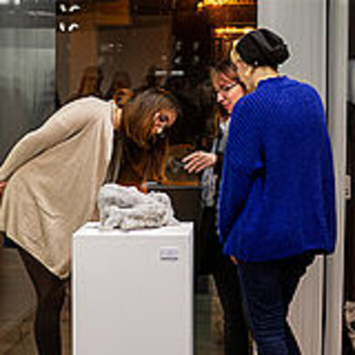 (öffnet Vergrößerung des Bildes)